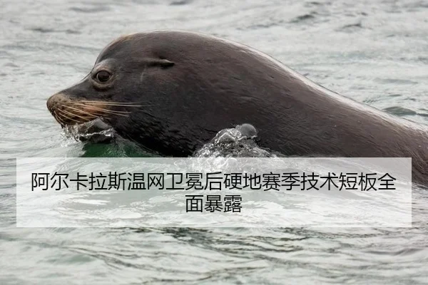 阿尔卡拉斯温网卫冕后硬地赛季技术短板全面暴露