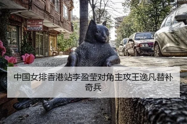 中国女排香港站李盈莹对角主攻王逸凡替补奇兵