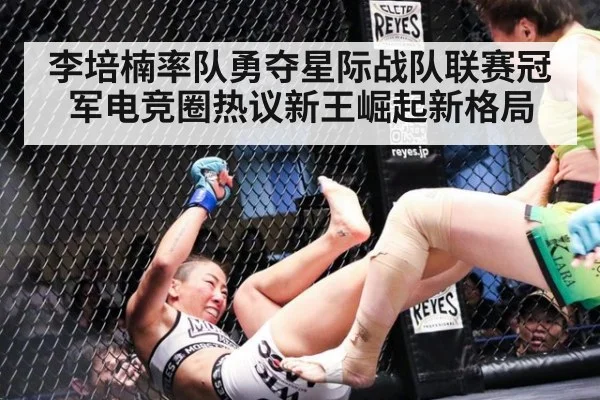 李培楠率队勇夺星际战队联赛冠军电竞圈热议新王崛起新格局