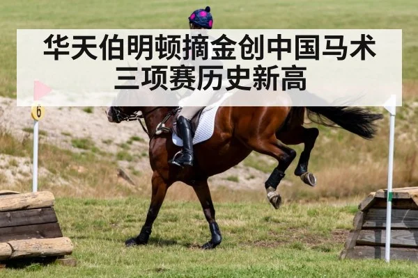horse jumping cross country
